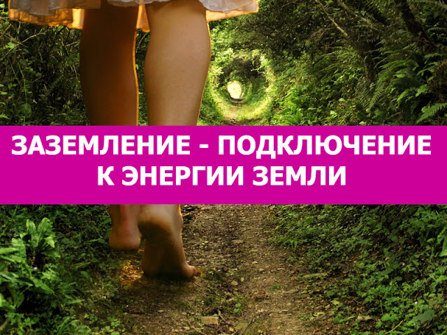 content_intuition__econet_ru